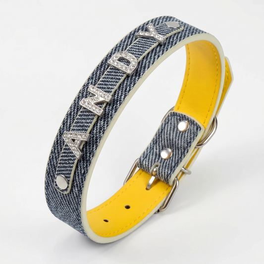Personalized Pet Collar with Rhinestone Letters – Silver