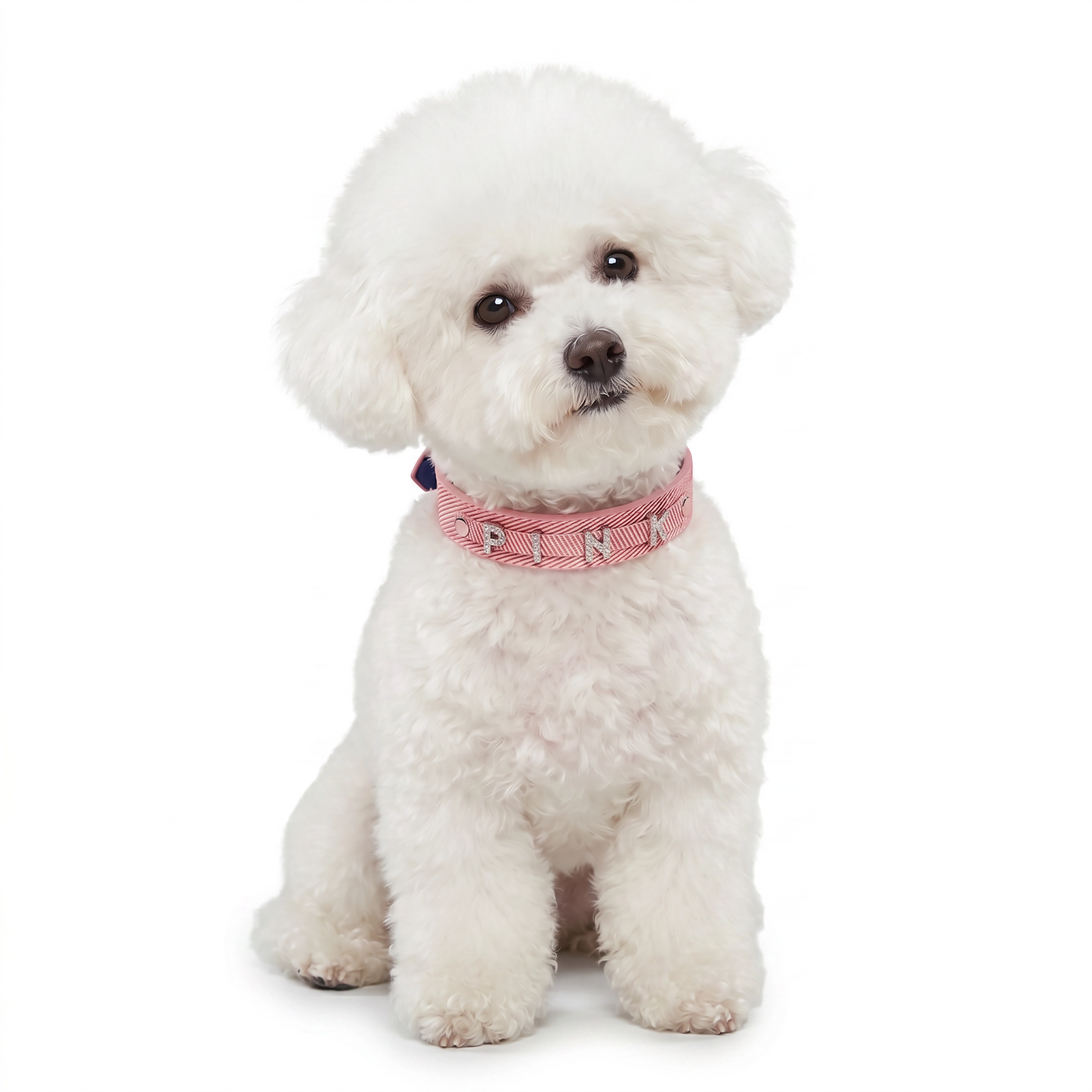 Personalized Pet Collar with Rhinestone Letters – Pink